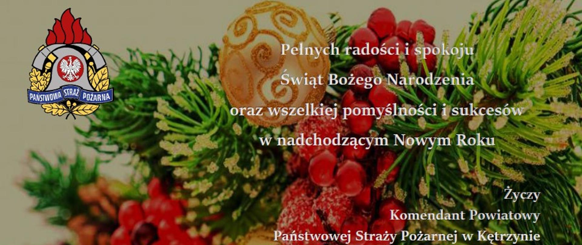 Życzenia napisane na tle kolorowego, Bożonarodzeniowego stroika. W lewym górnym rogu kolorowe logo PSP.