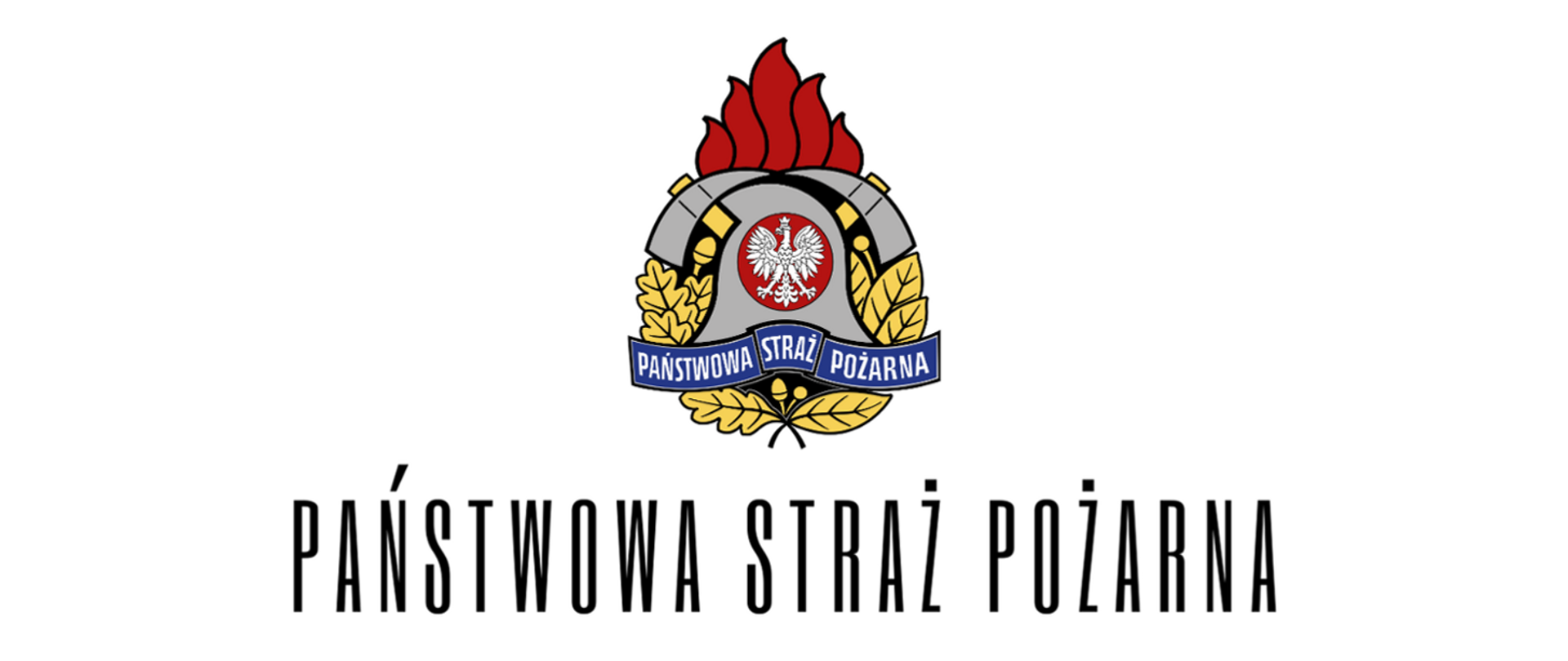 Logo PSP