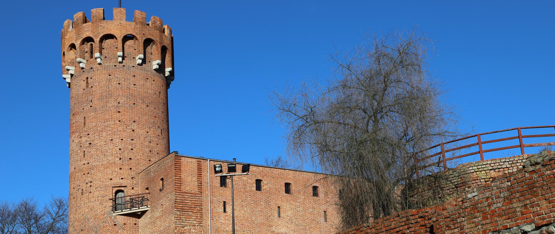 Ceglany zamek w Świeciu, na pierwszym planie wysoka wieża, obok suche drzewo,