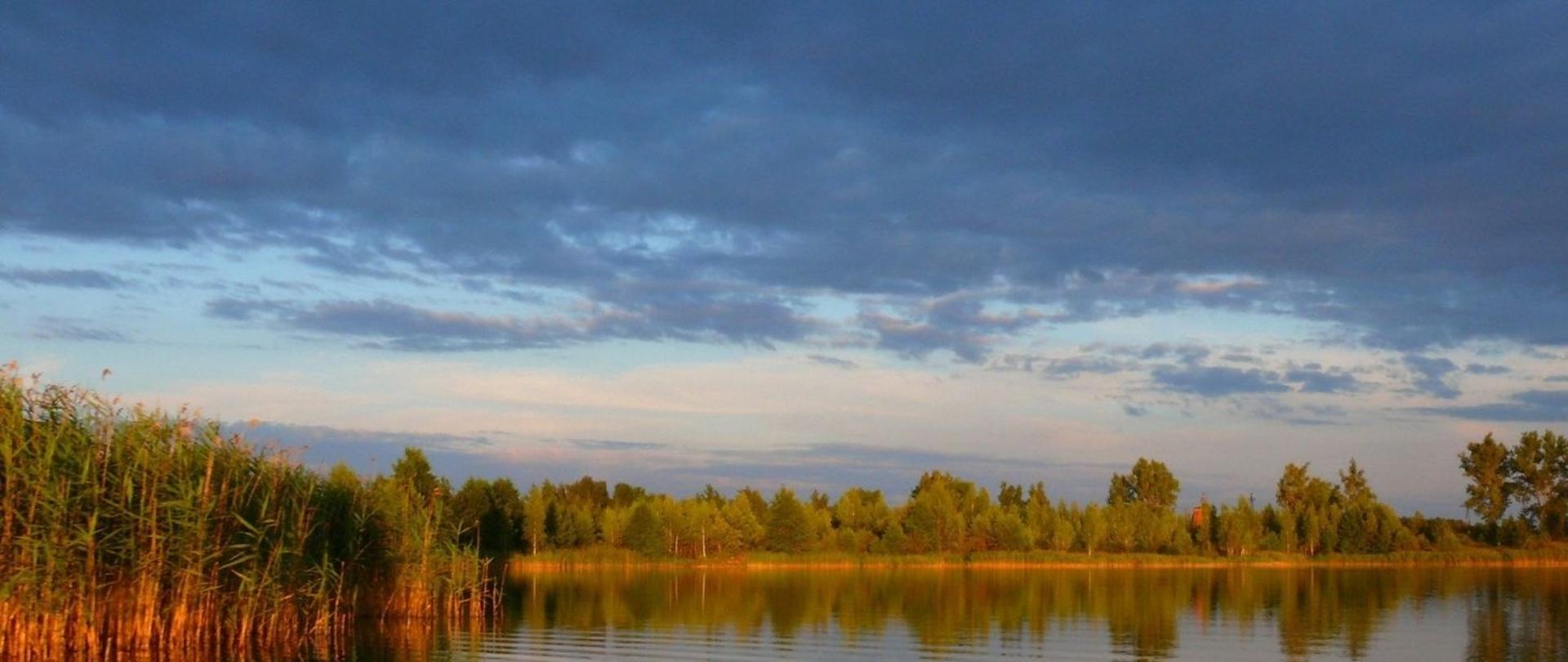 Na pierwszym planie jest Jezioro Woszczelskie. W oddali widać drzewa, a z lewej strony trzcinowisko. 