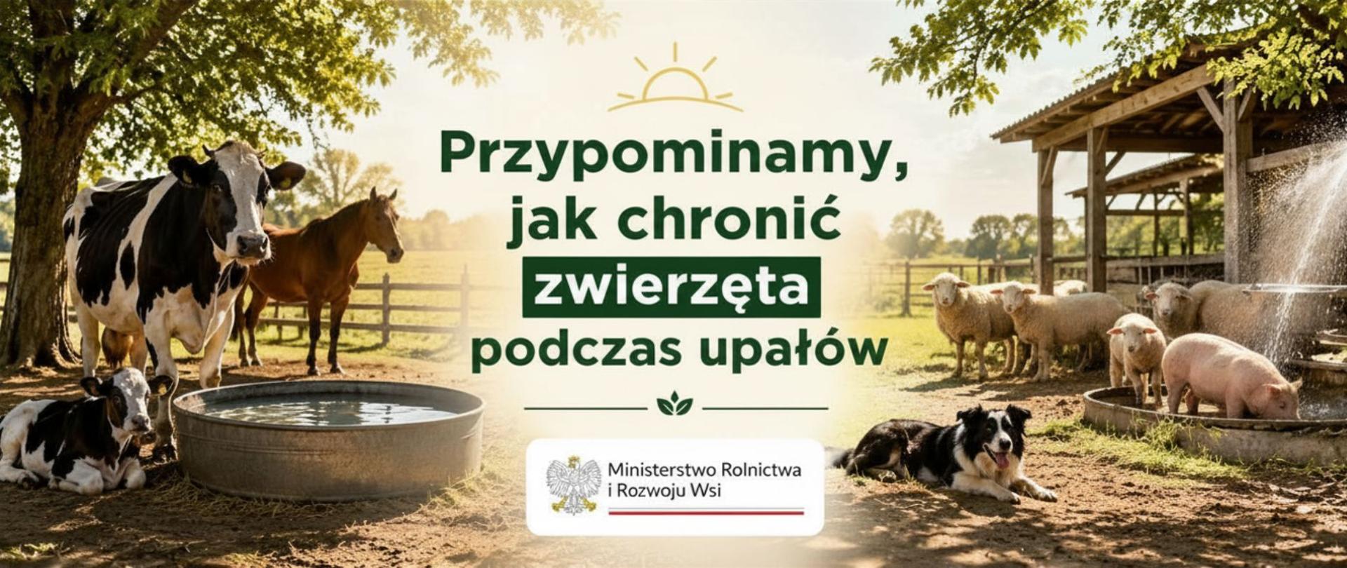 Główne