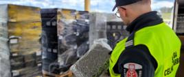 Funkcjonariusz Służby Celno-Skarbowej trzyma przezroczysty, hermetycznie zapakowany pakunek z materiałem roślinnym na tle palet owiniętych folią.