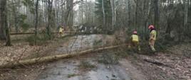 Centralny punkt zdjęcia stanowi droga i leżące w poprzek niej drzewa. Przy drzewach strażacy w piaskowych ubraniach usuwający zagrożenie.