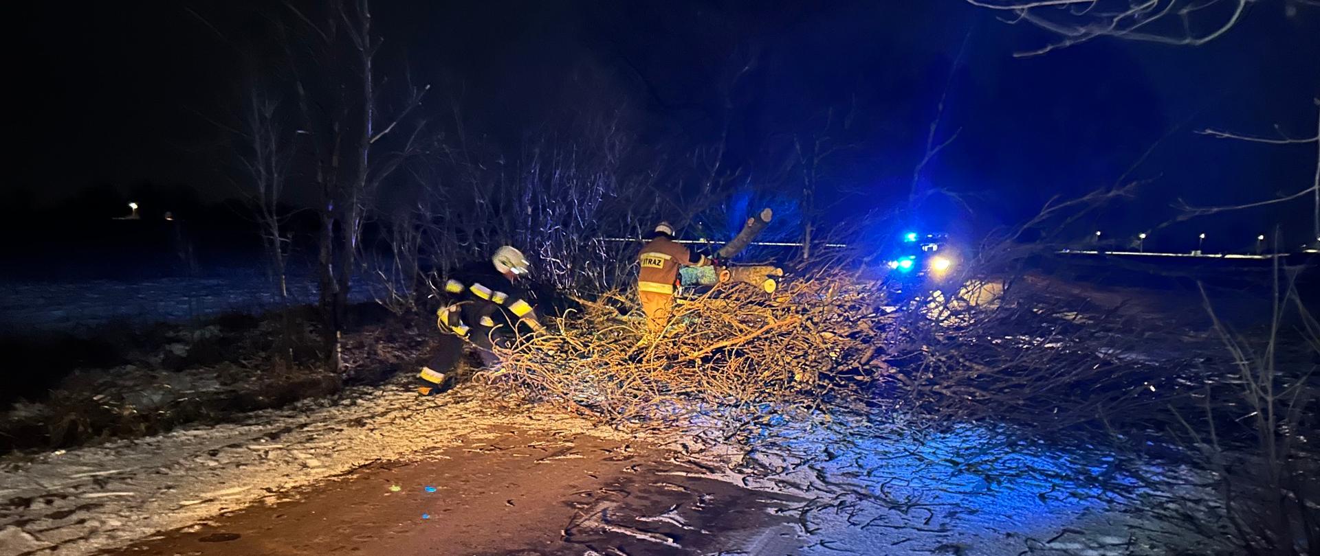 Połamane drzewo na drodze