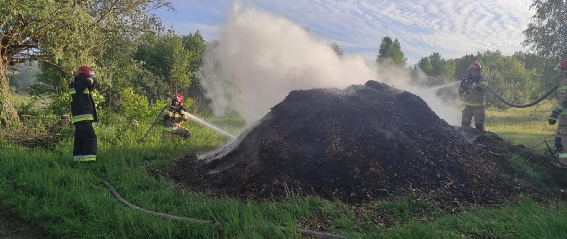 Zdjęcie przedstawia akcję gaśniczą pożaru hałdy zrębków leśnych w miejscowości Byszyno. Wokół zwaliska zrębków czworo strażaków za pomocą linii gaśniczych dostarcza wodę na miejsce pożaru. Strażacy umundurowani w ubrania specjalne