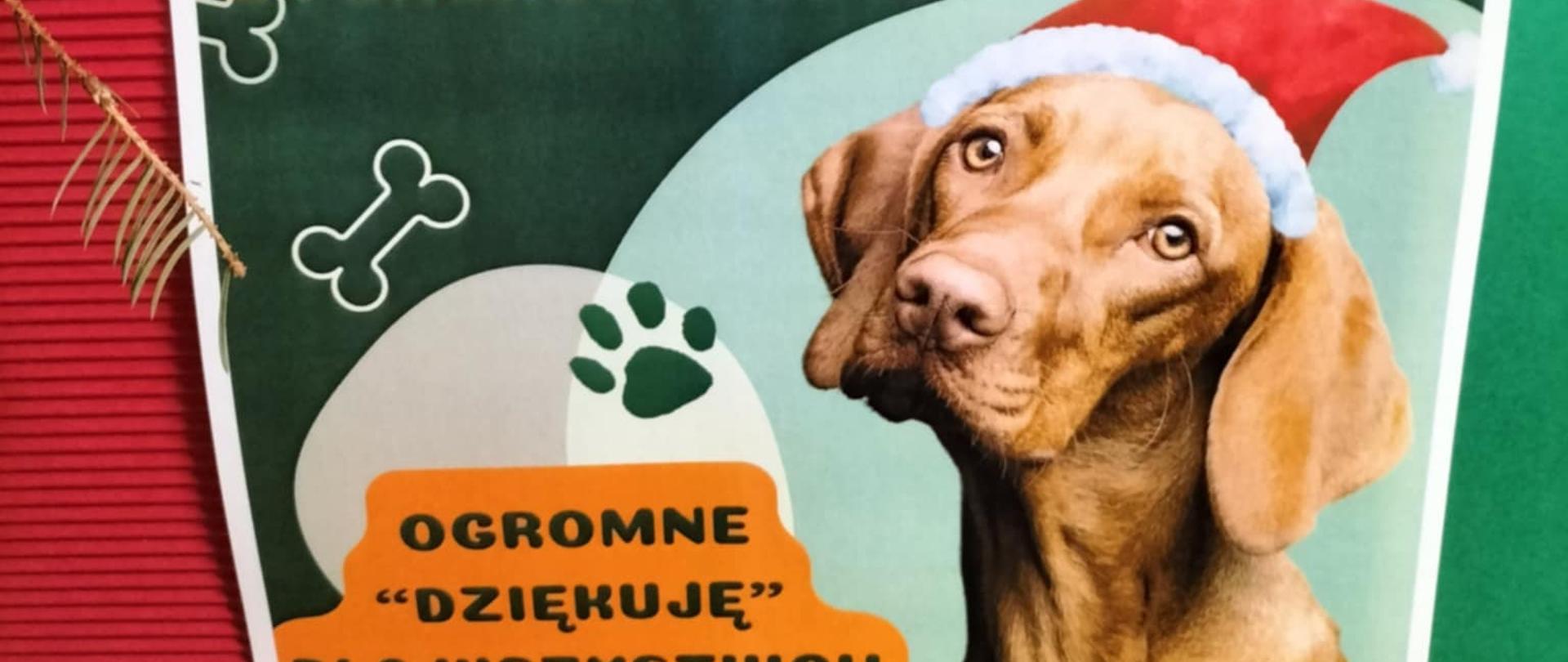 Plakat: na zielonym tle w górnej części plakatu napis: dzięki waszej hojności zebraliśmy 2162,60 zł dla zwierzaków z fundacji Medor. Poniżej znajduje się wizerunek psa w czerwonej czapce obok którego widnieje napis : ogromne dziękuję dla wszystkich darczyńców. 