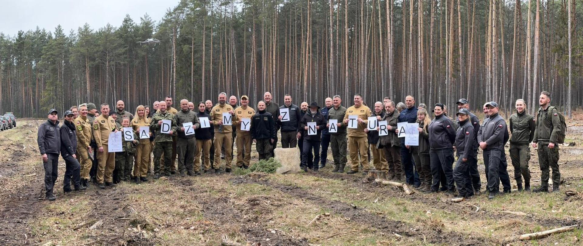 Zdjęcie przedstawia dużą grupę ludzi pozujących do wspólnej fotografii na zrębie leśnym (terenie przygotowanym do sadzenia lasu).