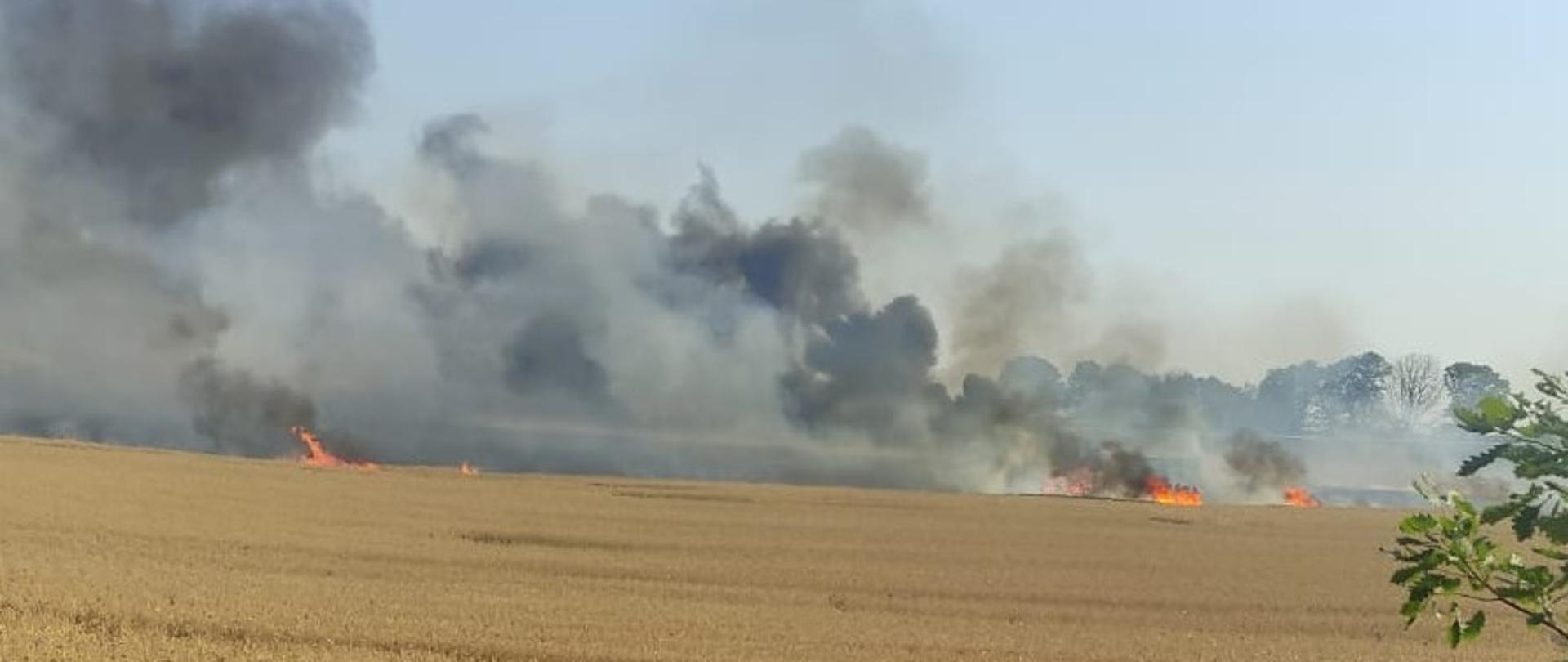 Walewice - pożar zboża