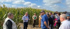Uczestnicy wykładów na plantacji kukurydzy.