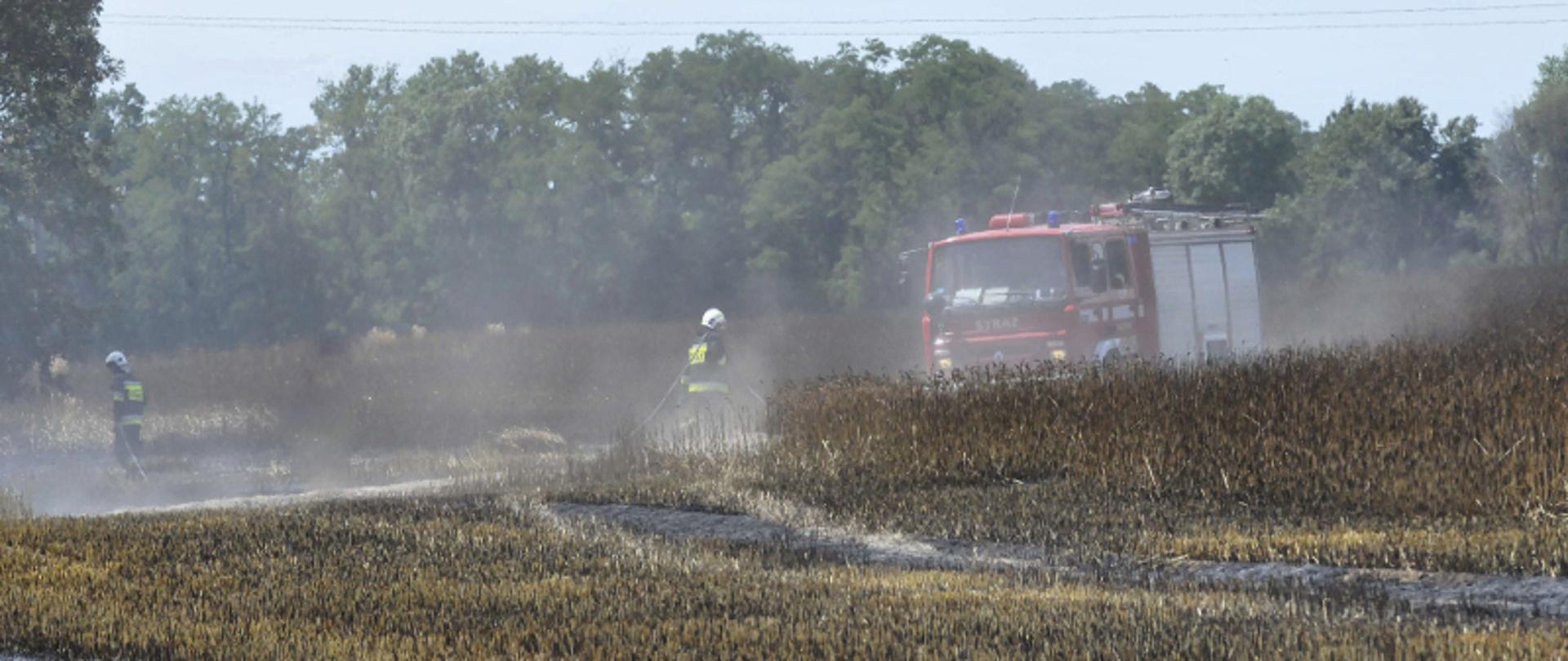 SEZON NA ŻNIWA.. Na zdjęciu widać pole na którym doszło do pożaru zboża, wóz strażacki i strażaków gaszących pożar, w tle drzewa