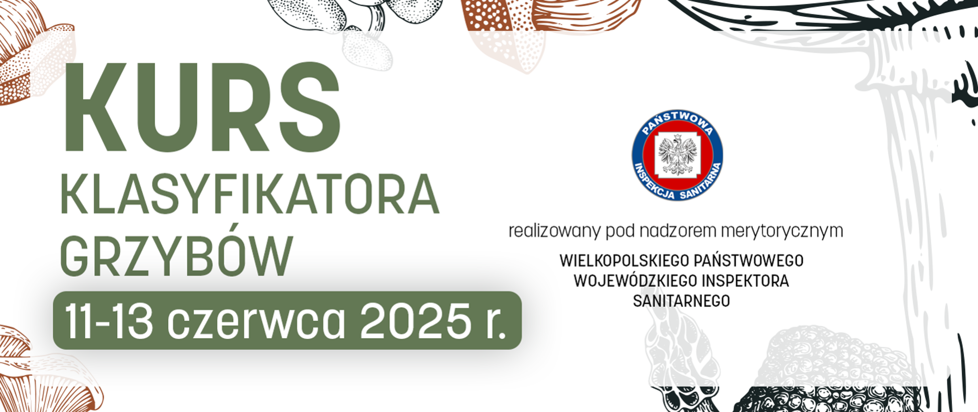 kurs klasyfikatora grzybów 2025