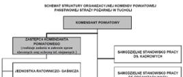 Zdjęcie przedstawia schemat organizacyjny Komendy Powiatowej Państwowej Straży Pożarnej w Tucholi.