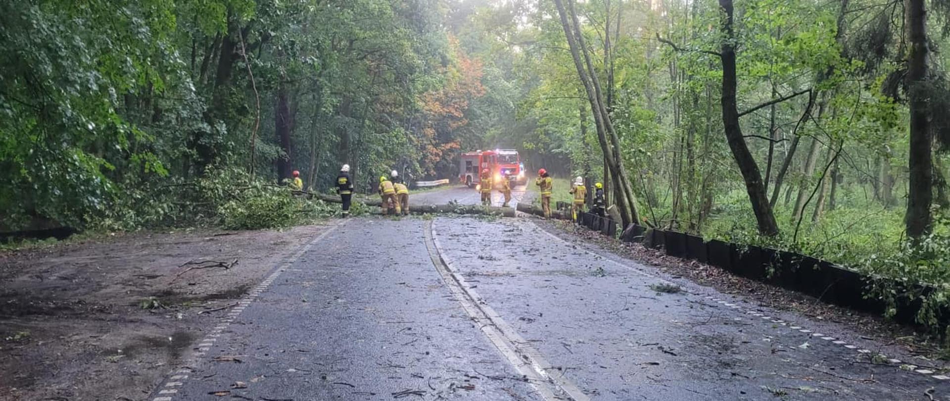 W wyniku silnych porywów wiatru na samochód spadło drzewo