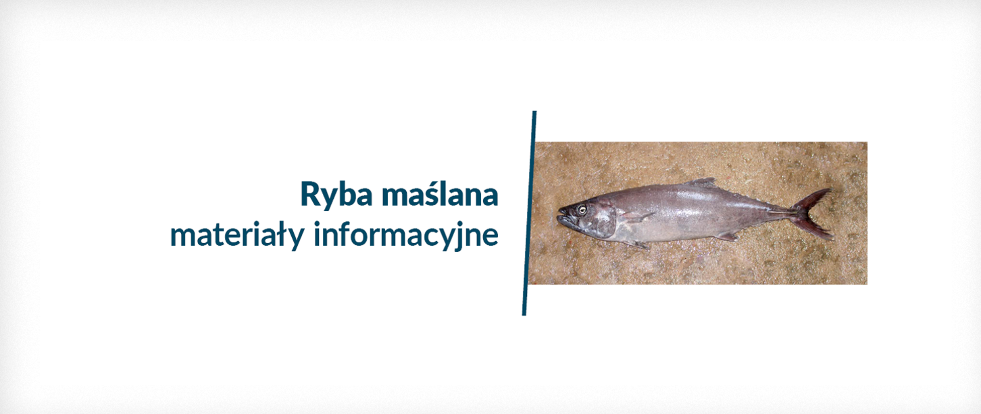 Grafika pochodząca ze strony Głównego Inspektoratu Sanitarnego przedstawiająca rybę i napis Ryba maślana materiały Informacyjne.