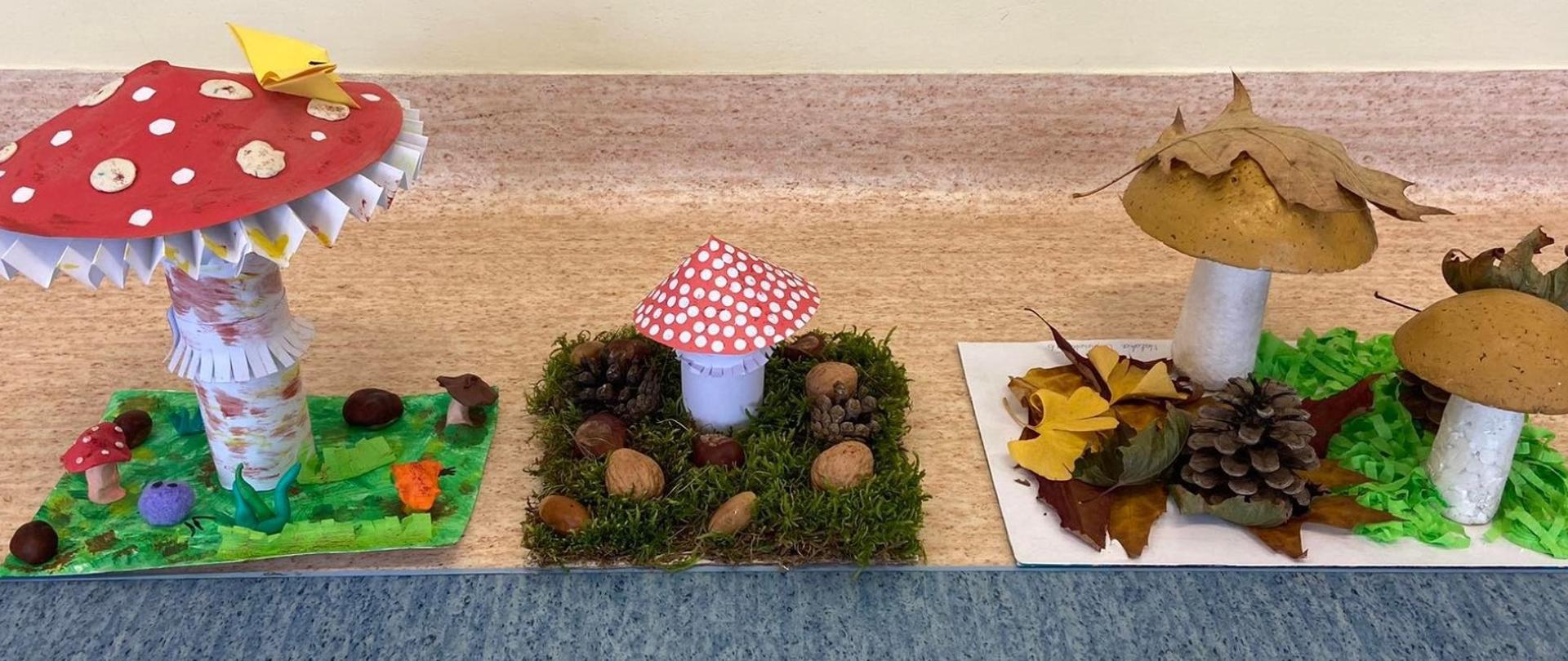 Rozstrzygnięcie jesiennego konkursu pn. Grzyb w przestrzeni