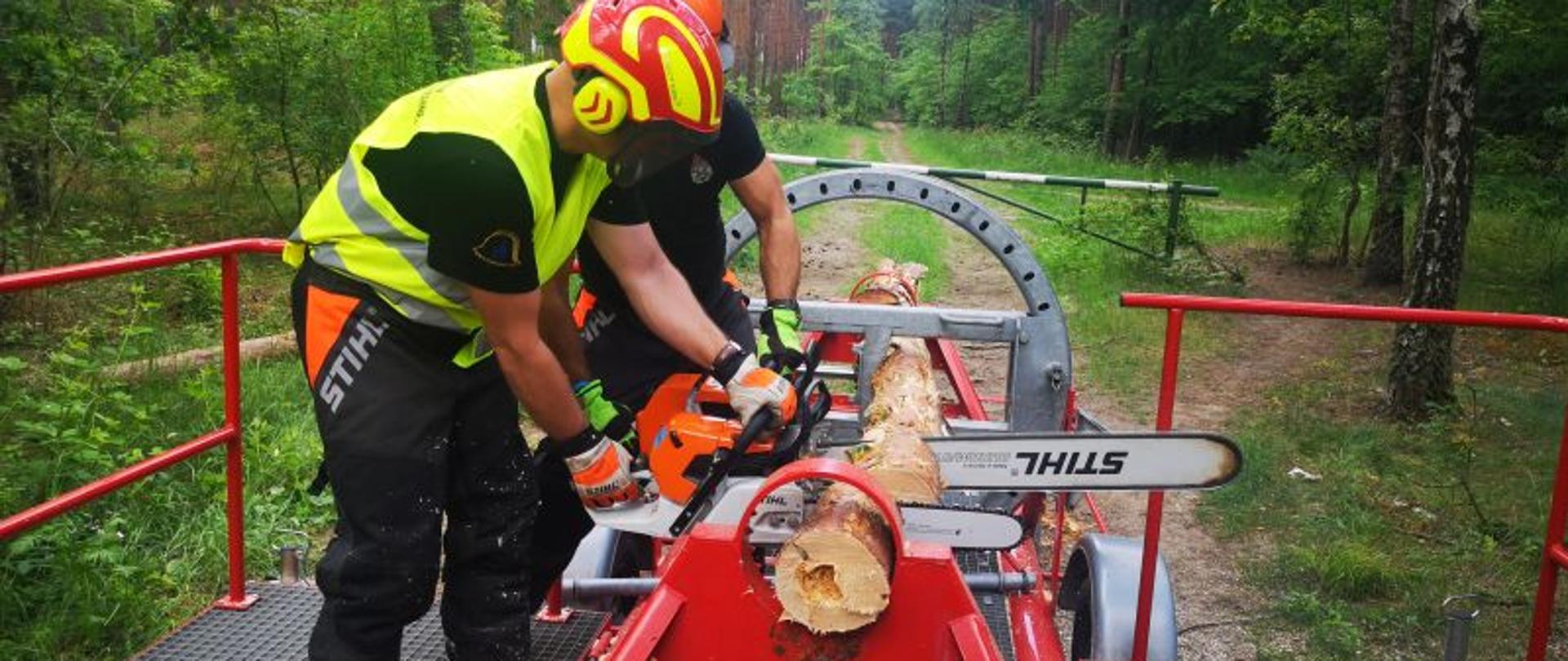 Ćwiczenia na symulatorze naprężonych drzew