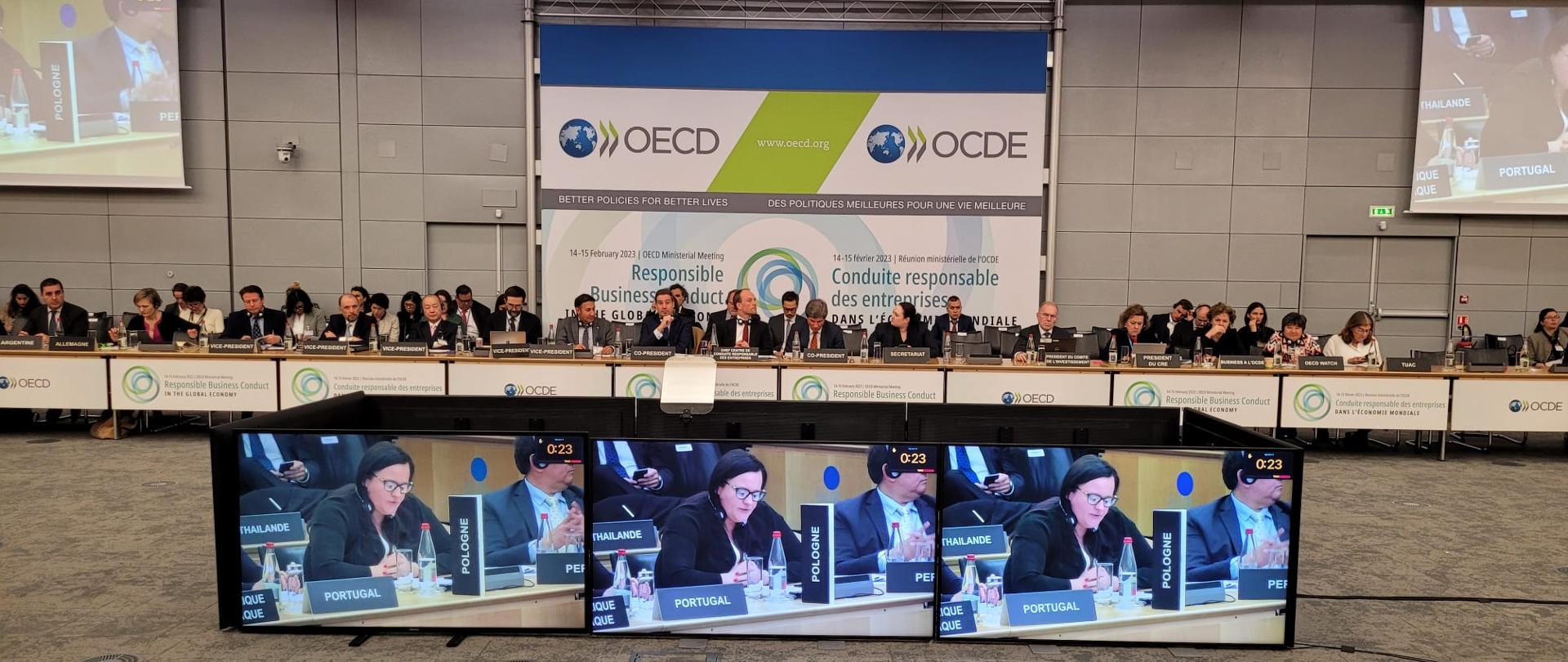 Ekrany ze zdjęciem wiceminister.