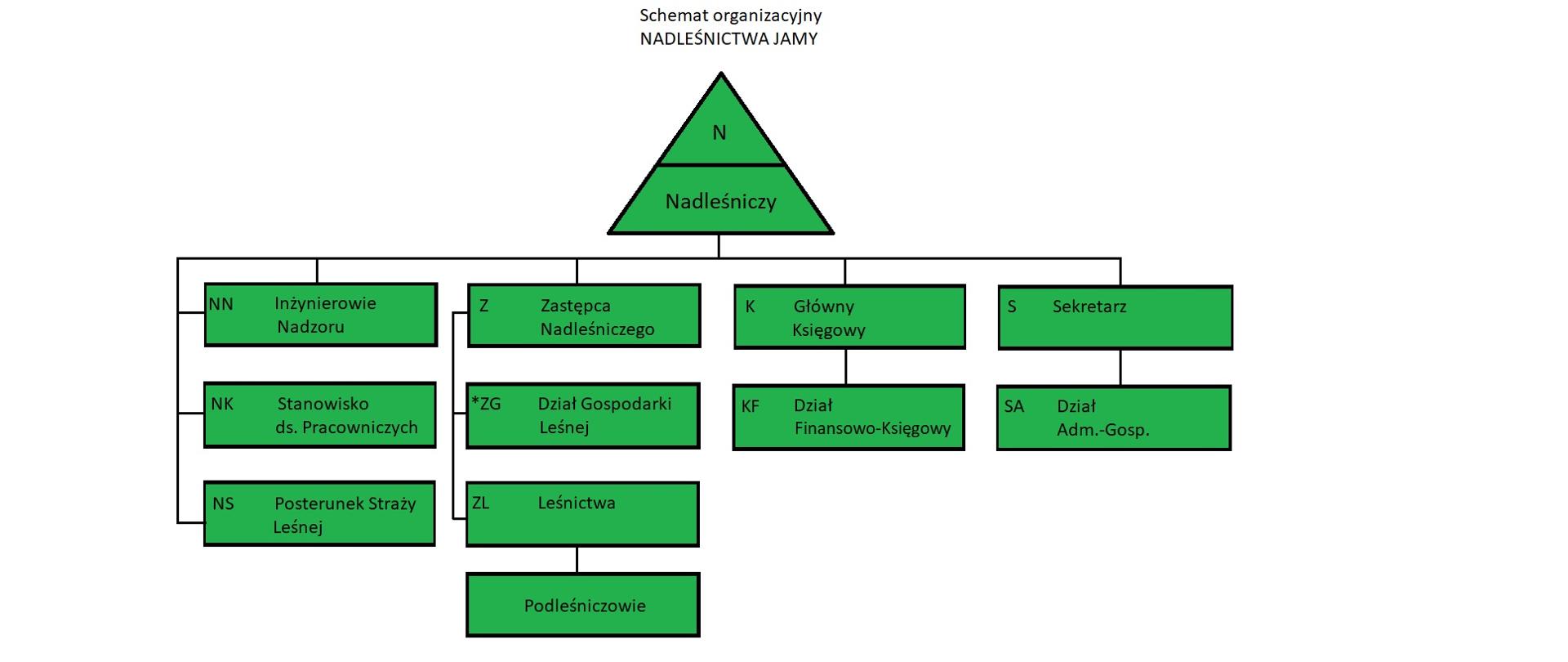Schemat_organizacyjny_Nadlesnctwa_Jamy