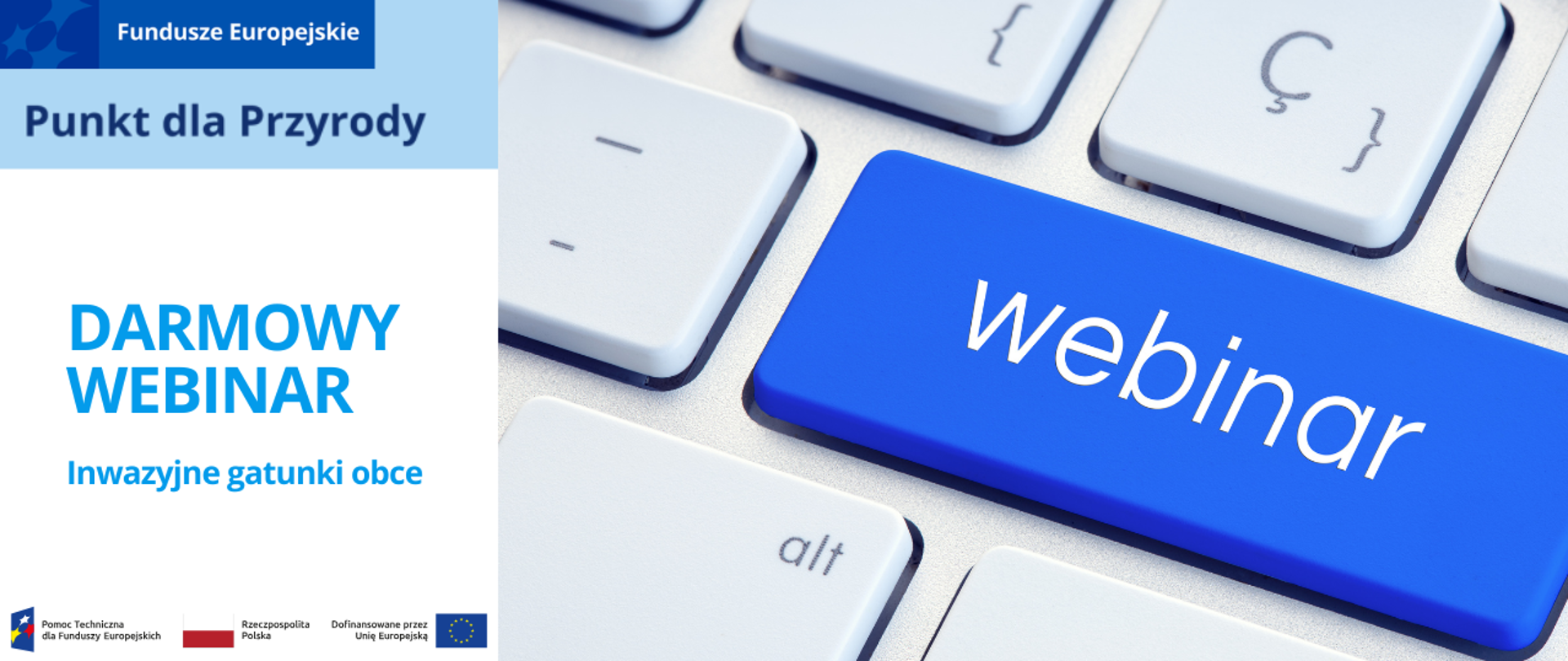 Widok części klawiatury komputerowej z przyciskami. Na jednym z nich napis "webinar"