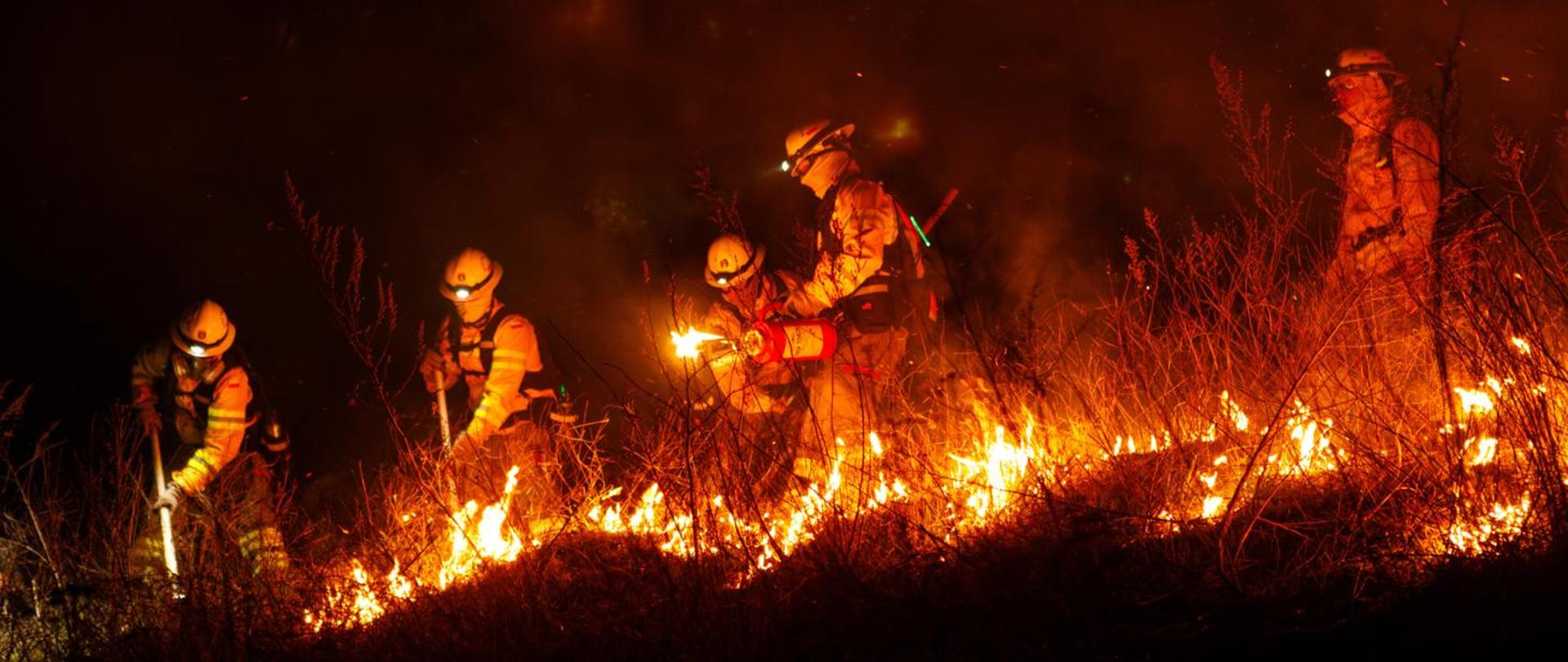 Ćwiczenia "GFFF 2025"