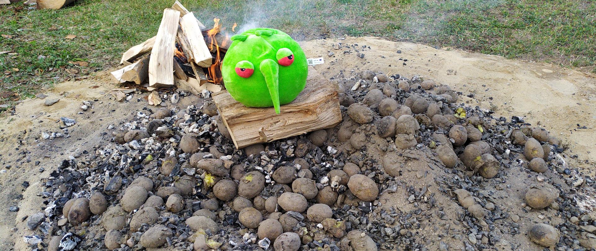 Sterta upieczonych w ognisku ziemniaków w popiele. Na nich na drewienku siedzi zielona okrągła maskotka. Z tylu pali się nieduże ognisko.