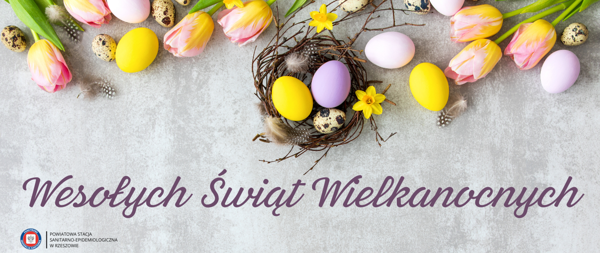 Kopia_–_Grypa_ptaków_(1)