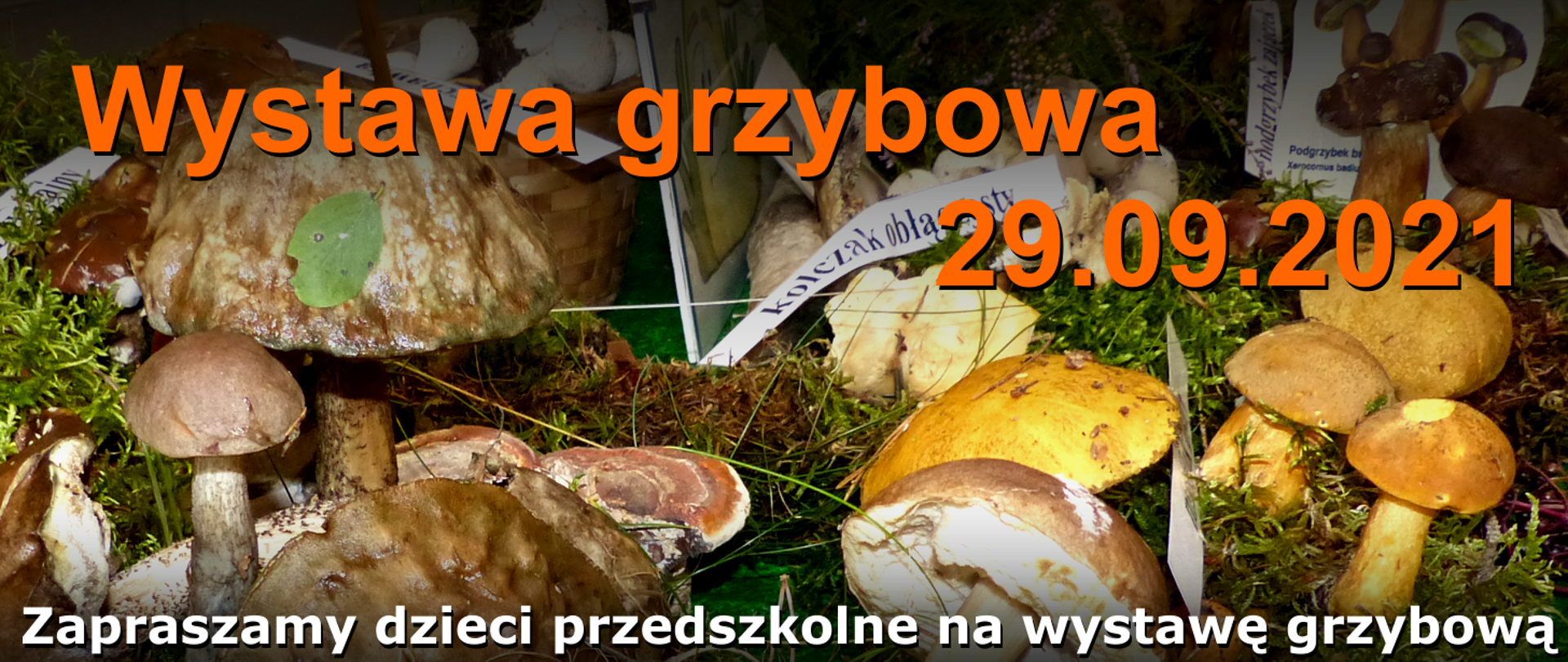Zaproszenie dla dzieci na wystawę grzybową 29.09.2021