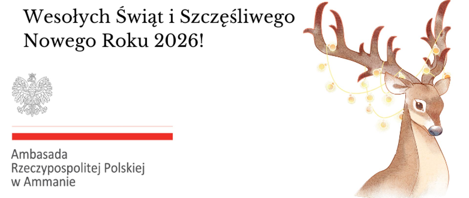 Wesołych Świąt i Szczęśliwego Nowego Roku 2025!