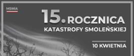 Plakat upamiętniający 15. rocznicę katastrofy smoleńskiej, z datą 10 kwietnia. W tle widoczna flaga Polski, czarne sylwetki drzew i wrak samolotu. Na górze logotyp MSWiA.
