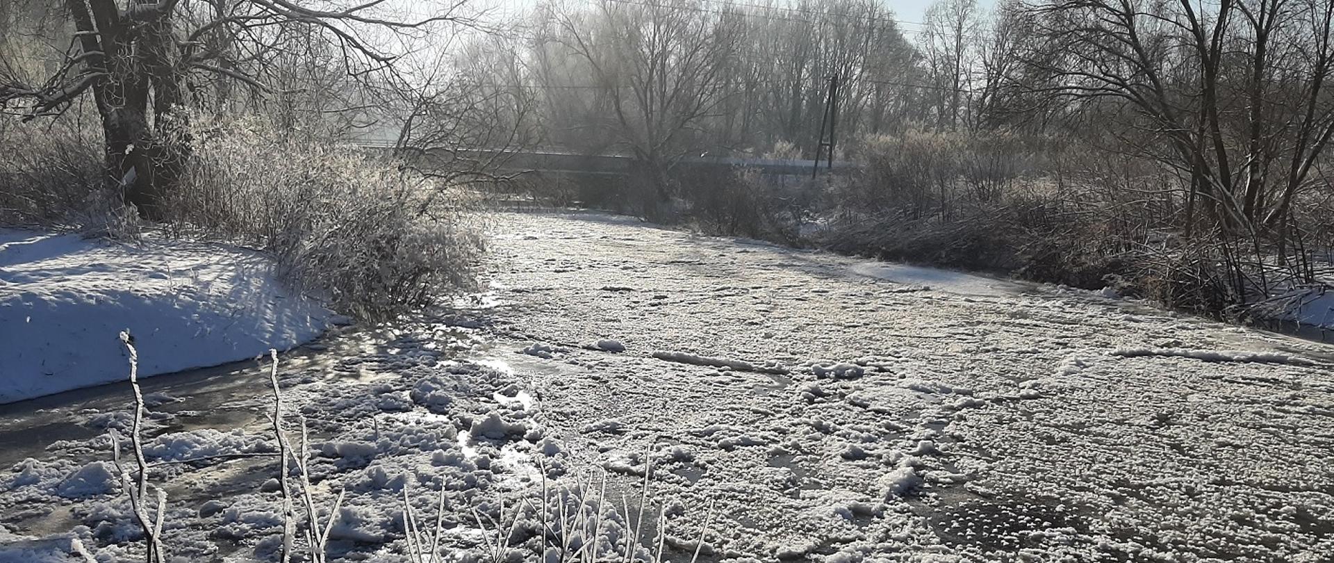 BialaGlucholaskaIntext