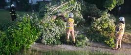 Strażacy w trakcie cięcia piłą motorową przewróconego drzewa na drodze.