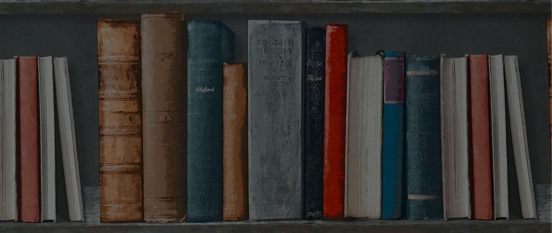 Namalowane książki na półkach