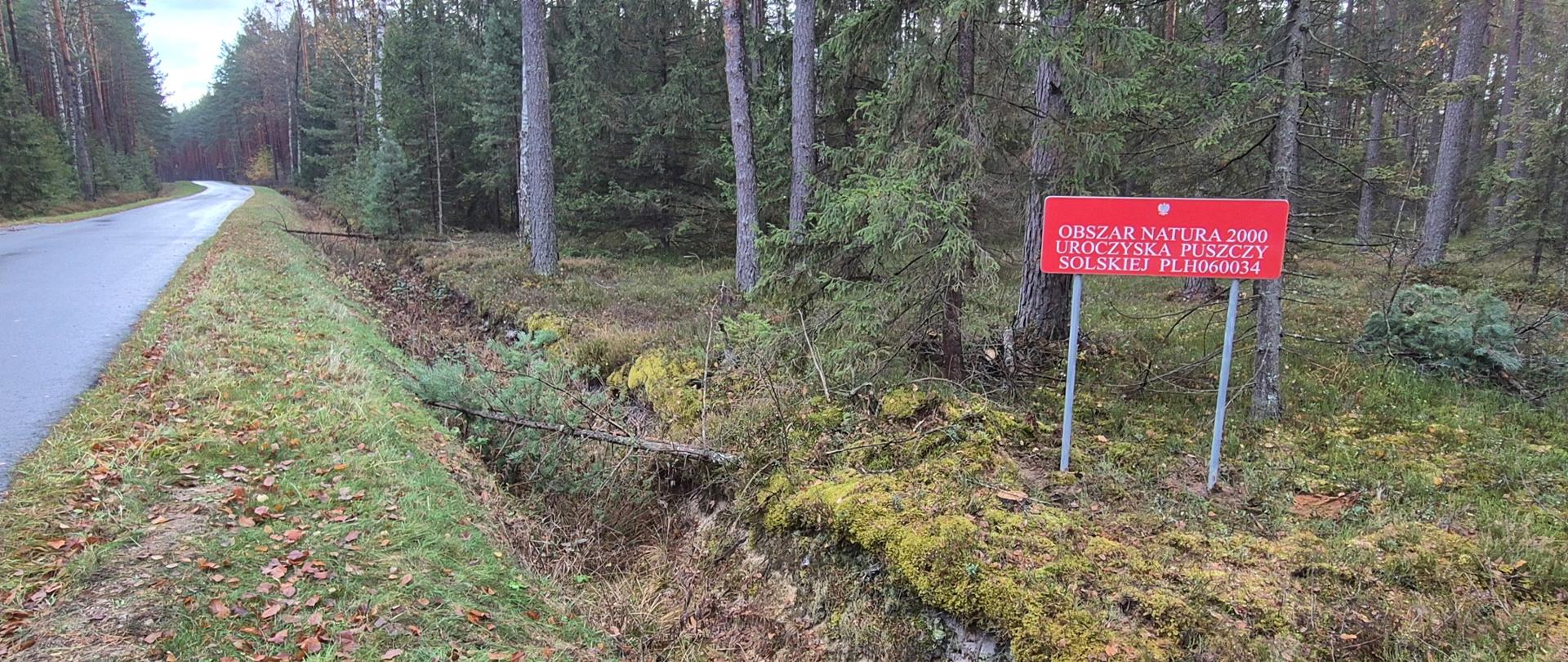 Tablica urzędowa w obszarze Natura 2000 Uroczyska Puszczy Solskiej