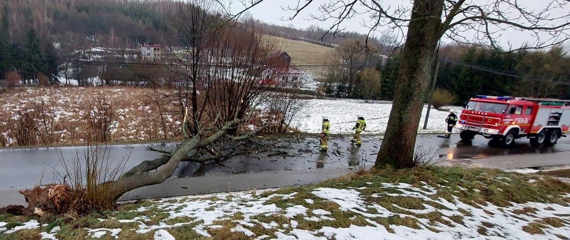 Zdjęcie zrobione na zewnątrz. Na pierwszym planie wywrócone drzewo, samochód strażacki oraz strażacy usuwający drzewo z jezdni. 