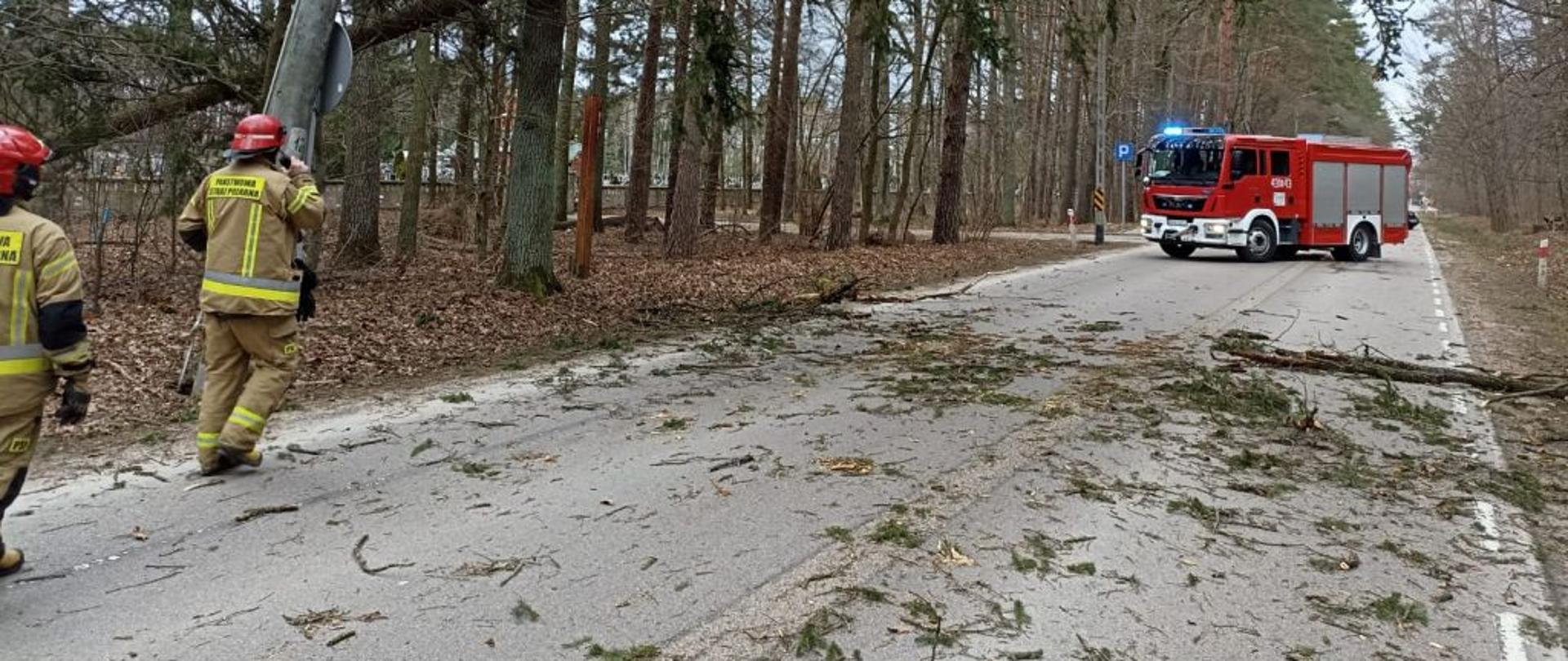 nad drogą w poprzek wisi zwalony świerk. W oddali czerwony strażacki wóz bojowy. Po lewej dwóch strażaków w żółtych mundurach bojowych. Na drodze pełno połamanych gałęzi.