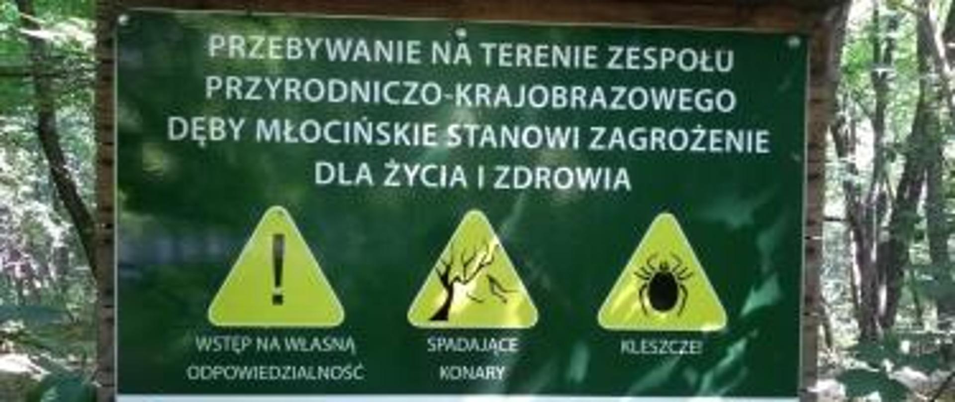 Co_warto_wiedzieć_o_diagnozowaniu_boreliozy