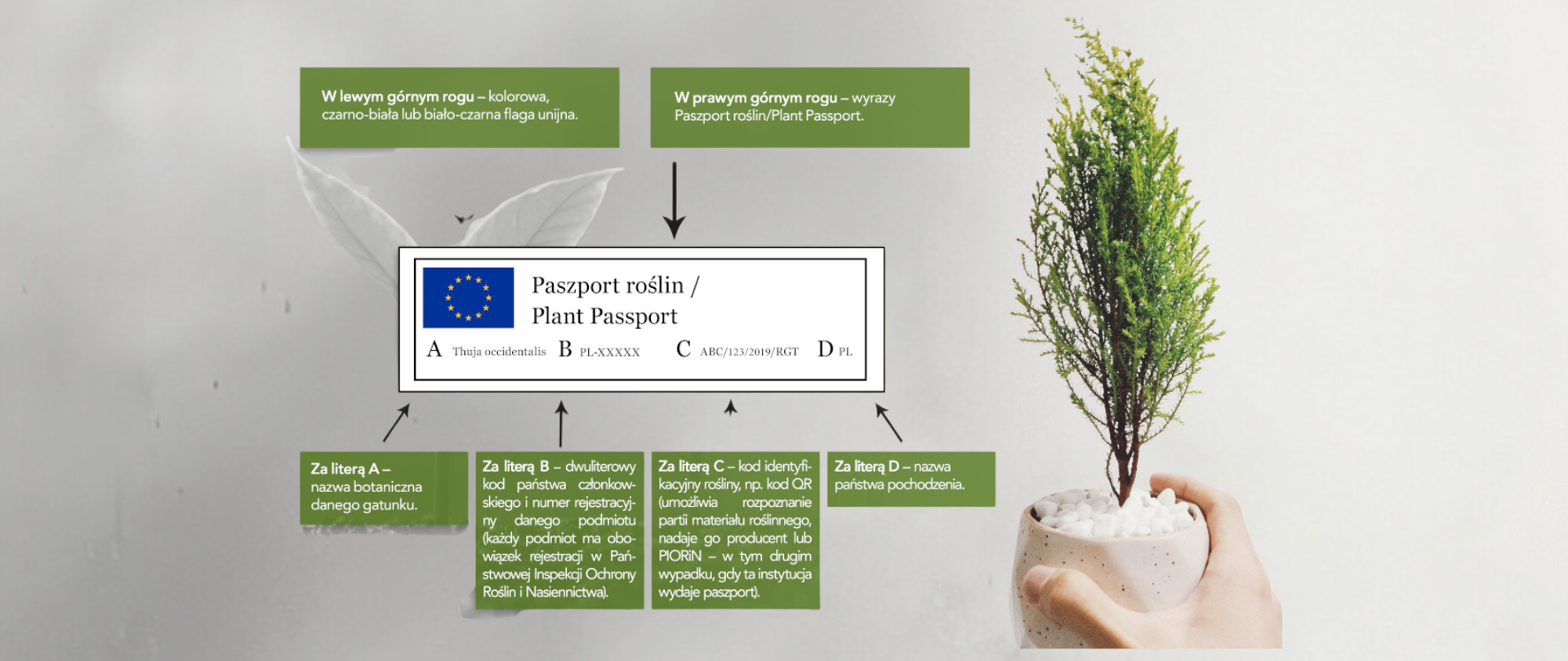Paszport rośliny