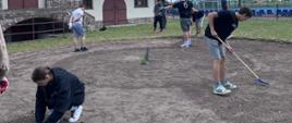 dla owadów miododajnych