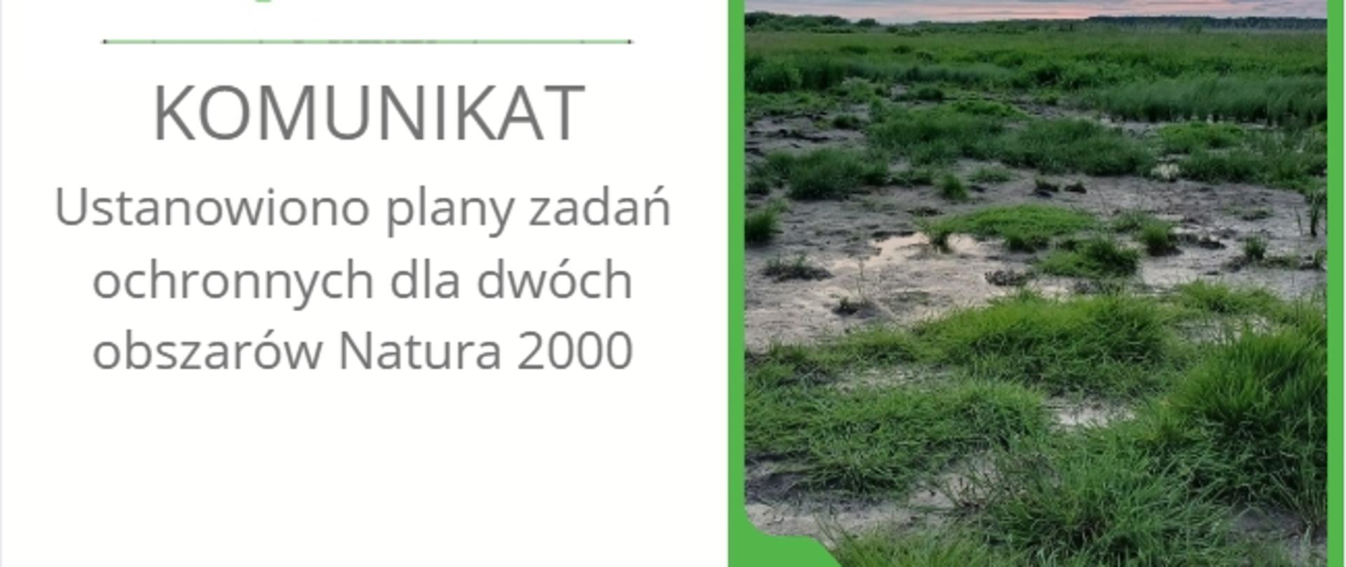 Ustanowiono_plany_zadań_ochronnych_dla_dwóch_obszarów_Natura_2000