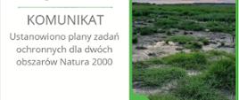 Ustanowiono plany zadań ochronnych dla dwóch obszarów Natura 2000