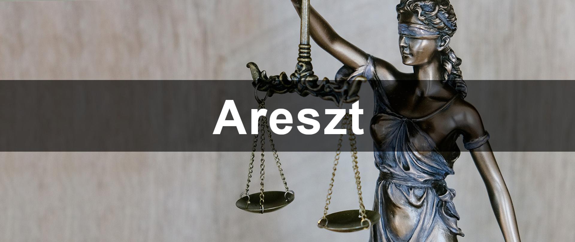 Baner z napisem areszt z figurą temidy w tle