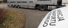 Transport zwierząt zatrzymany przez ITD