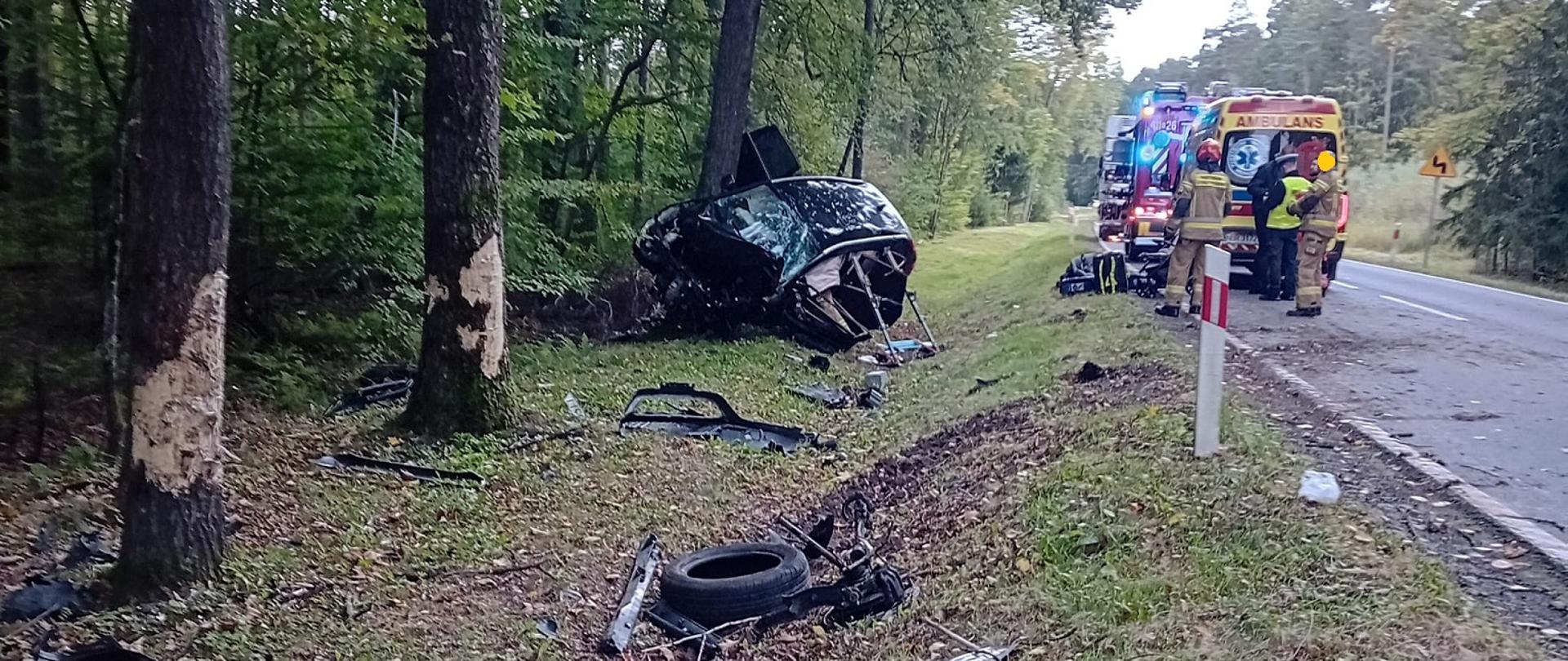 Z prawej strony droga asfaltowa, na drodze służby ratownicze, karetka i straż. Z lewej strony pobocze drogi i drzewa. Na wprost czarne auto osobowe po uderzeniu w drzewo, mocno uszkodzone, uszkodzone elementy na poboczu.