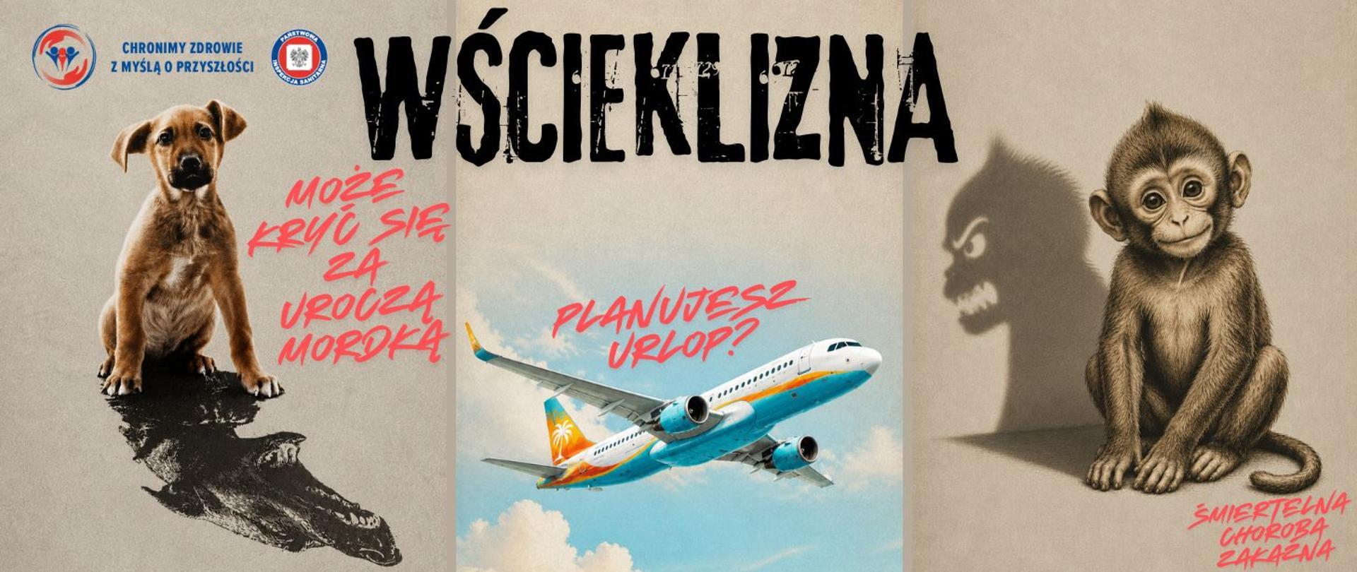 WŚCIEKLIZNA