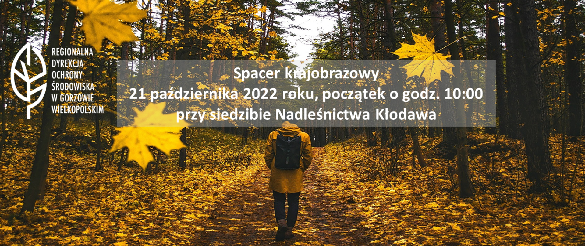 Mężczyzna w żółtej kurtce spaceruje po ścieżce w lesie.