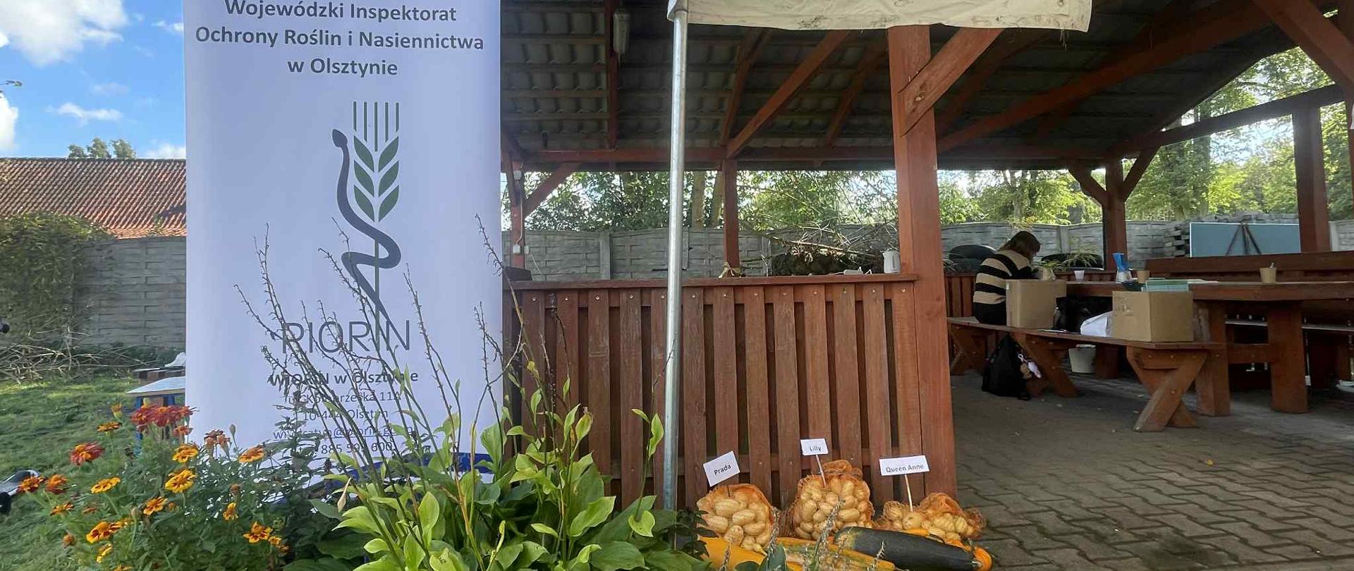 Od lewej: baner WIORiN w Olsztynie, przysłonięty nieco kwitnącymi bylinami, obok trzy worki z ziemniakami