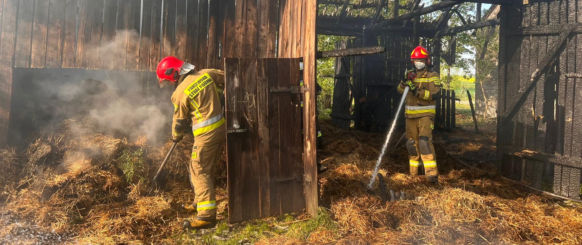 Na zdjęciu dwóch strażaków w ubraniach specjalnych z założonymi czerwonymi hełmami, którzy dogaszają słomę w budynku gospodarczym (stodole. Jeden z nich rozgarnia nadpaloną słomę, drugi przelewa materiał wodą. Wewnątrz budynku panuje lekkie zadymienie.