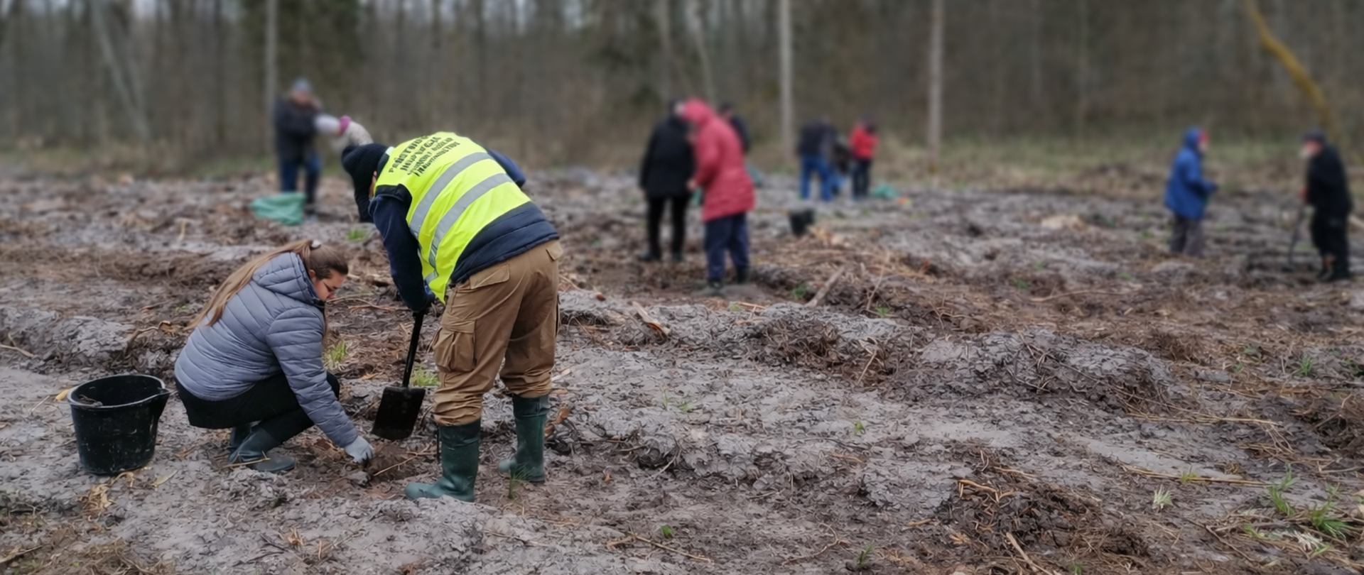 mężczyzna w kamizelce odblaskowej i z łopatą pochyla się nad kucającą kobietą sadzącą roślinę 