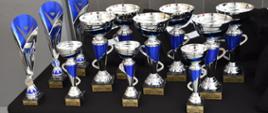 Na czarnym stole ustawione srebrno - niebieskie puchary dla zwycięzców w poszczególnych kategoriach. 