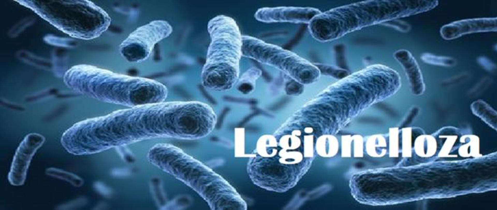 Pałeczki bakterii Legionella z podpisem "Legionelloza" 